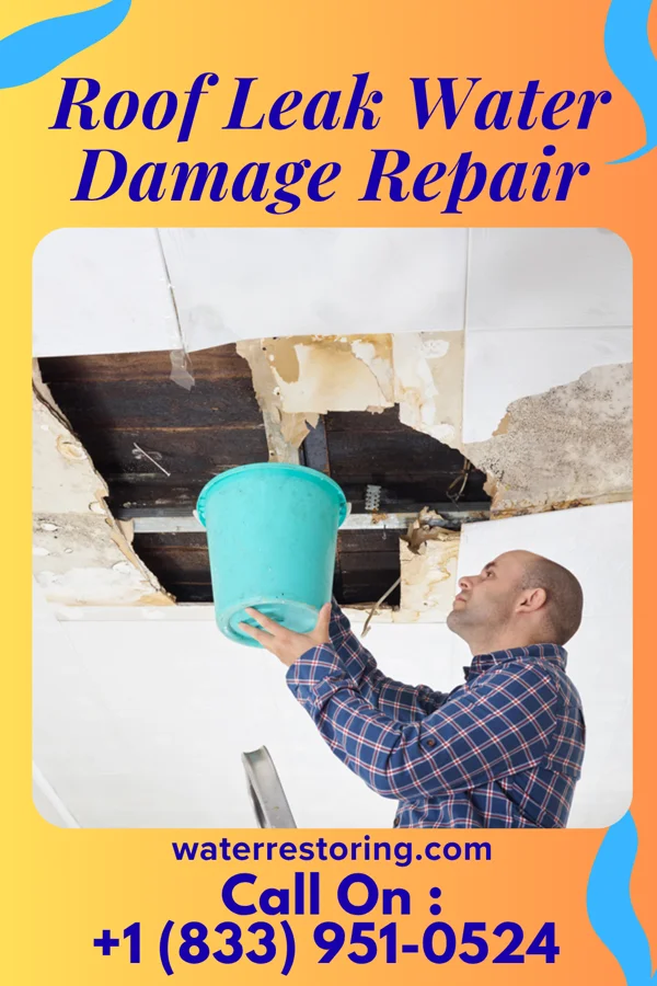 Roof Leak Water Damage Repair in Readstown, WI